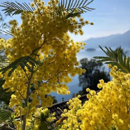 Bnb122 Bed&Breakfast Ascona Dış mekan fotoğraf